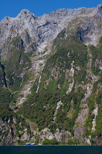Milford Sound [5]